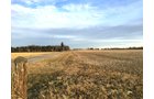 Property photo 18 - PRIME OHIO FARM AUCTION - 198+/- ACRES IN 4 TRACTS IN PREBLE COUNTY, OHIO